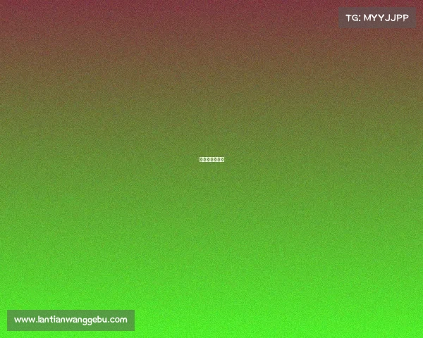 费德勒比赛录像