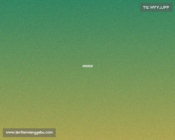 国际网球公开赛