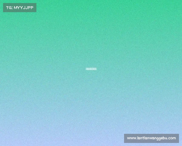 有哪些国际比赛