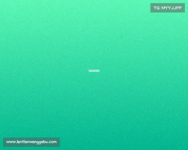 武术散打锦标赛