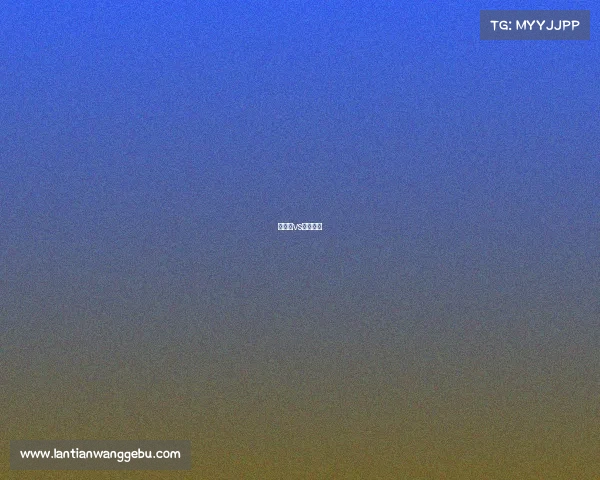 白兰恩vs厄于加伦